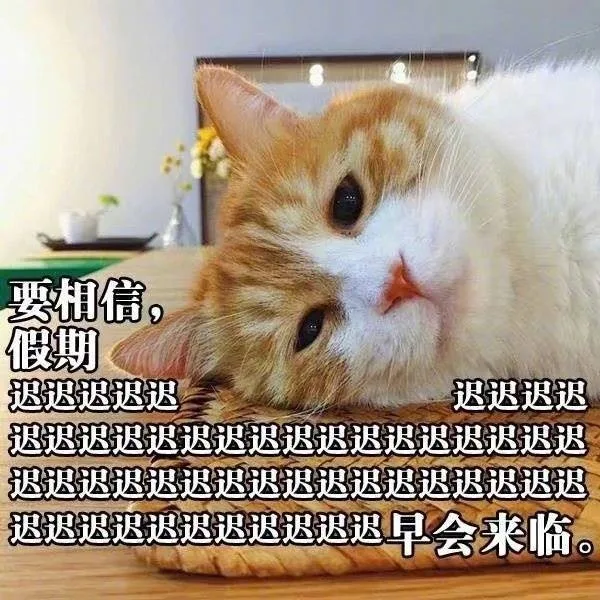 要相信，假期迟迟迟迟早会来临