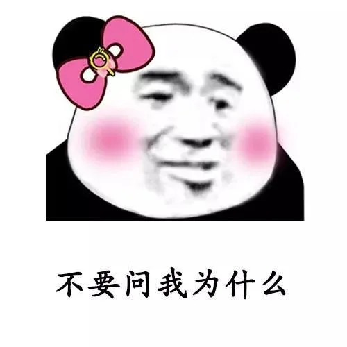 不要问我为什么