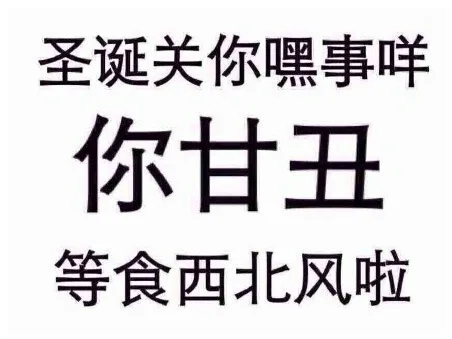 圣诞关你嘿事咩，你甘丑，等食西北风啦（圣诞关你嘿事咩，你甘丑，等食西北风啦）