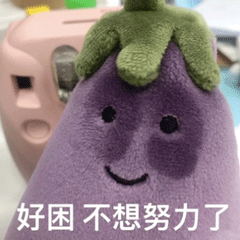 网红茄子茄总