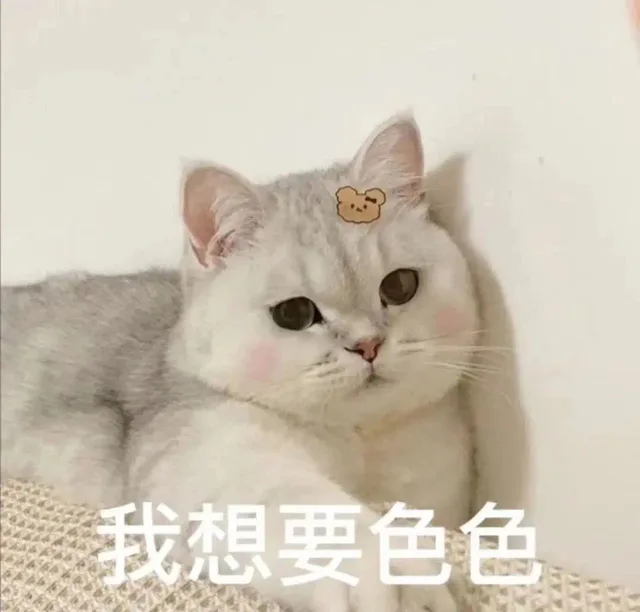 我想要色色