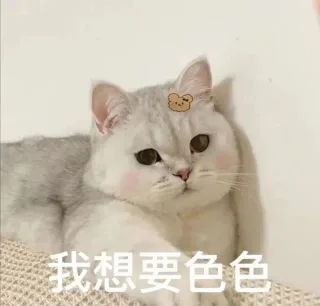 我想要色色