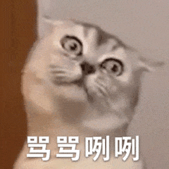 骂骂咧咧（骂骂咧咧）