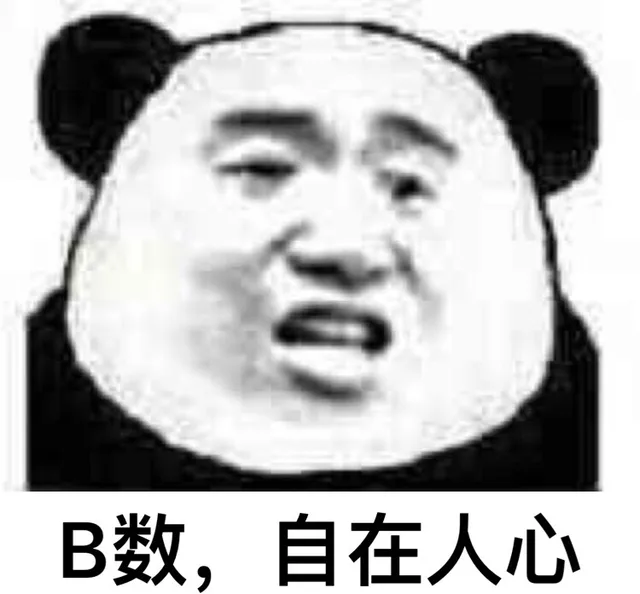 B数，自在人心