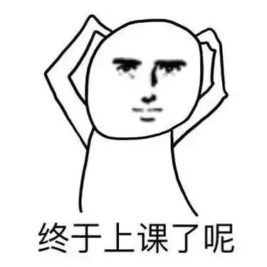 终于上课了呢