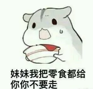 妹妹我把零食都给你，你不要走（妹妹我把零食都给你，你不要走）
