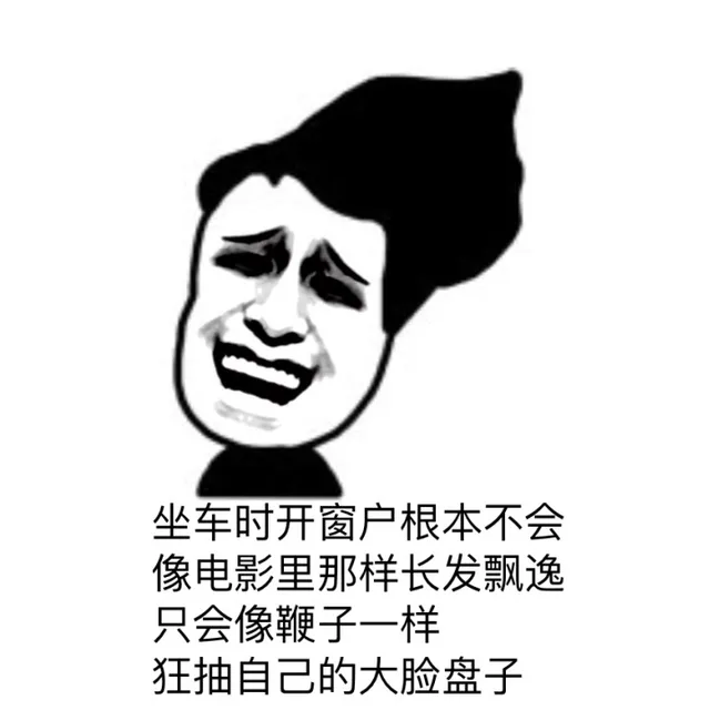 坐车时开窗户根本不会像电影里那样长发飘逸，只会像鞭子一样狂抽自己的大脸盘子（坐车时开窗户根本不会像电影里那样长发飘逸，只会像鞭子一样狂抽自己的大脸盘子）