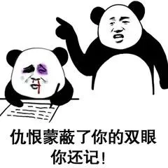 仇恨蒙蔽了你的双眼，你还记！