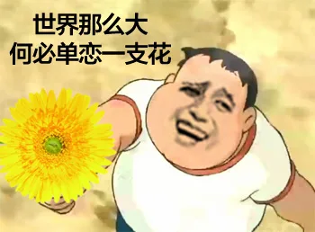 世界那么大，何必单恋一支花（世界那么大，何必单恋一支花）
