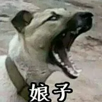 娘子（汪星人）