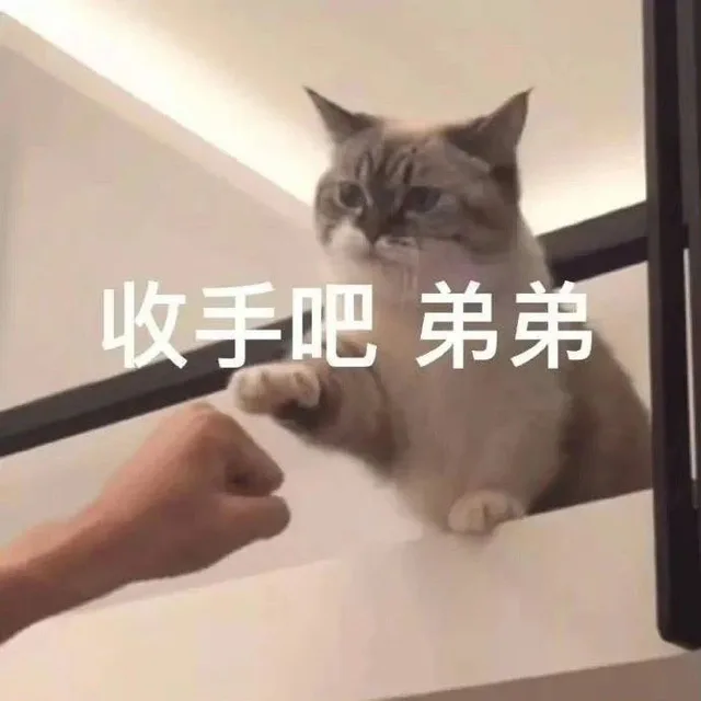 收手吧弟弟（收手吧弟弟）