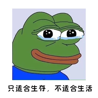 只适合生存，不适合生活