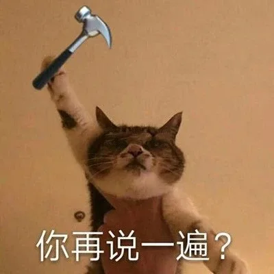 你再说一遍（你再说一遍）
