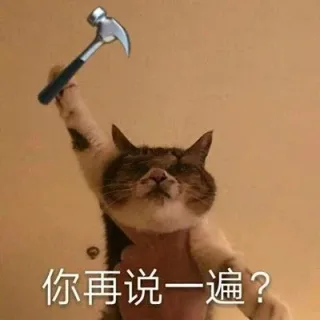 你再说一遍