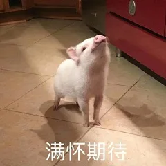 满怀期待（满怀期待）