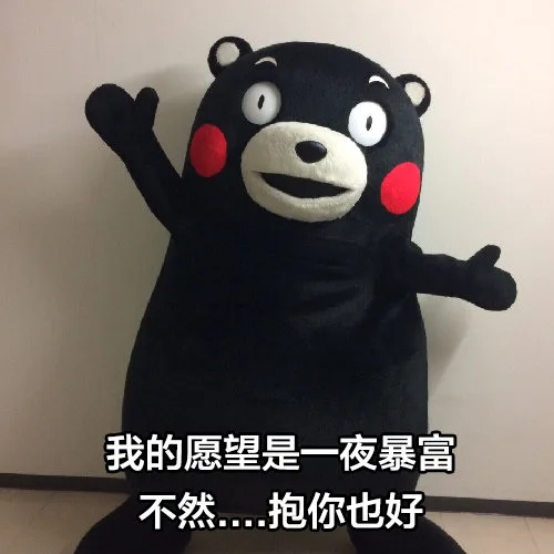 我的愿望是一夜暴富不然抱你也好（我的愿望是一夜暴富不然抱你也好）