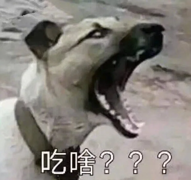 你跟食堂大妈的日常_狗子_内涵表情包