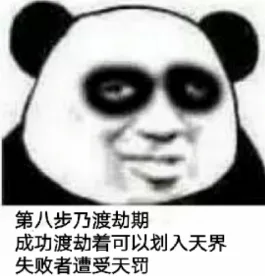 第八步乃渡劫期成功渡劫着可以划入天界失败者遭受天罚（第八步乃渡劫期成功渡劫着可以划入天界失败者遭受天罚）