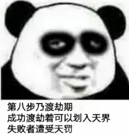 第八步乃渡劫期成功渡劫着可以划入天界失败者遭受天罚