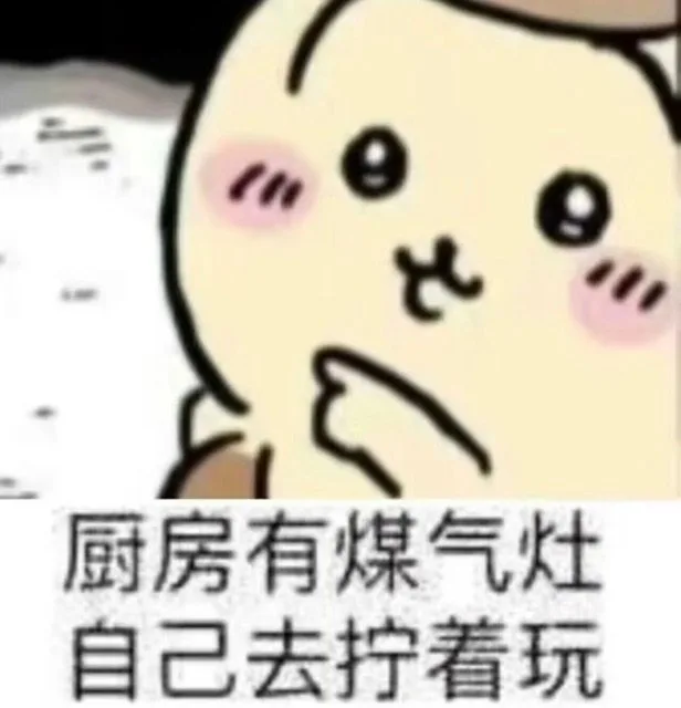 厨房有煤气灶自己去拧着玩（厨房有煤气灶自己去拧着玩）