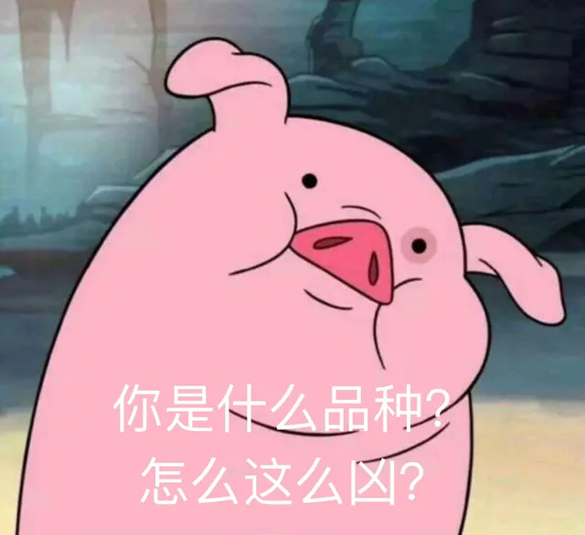 你是什么品种怎么这么凶?（你是什么品种怎么这么凶?）
