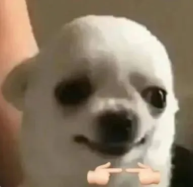 狗子揣手手表情包（狗子揣手手表情包）