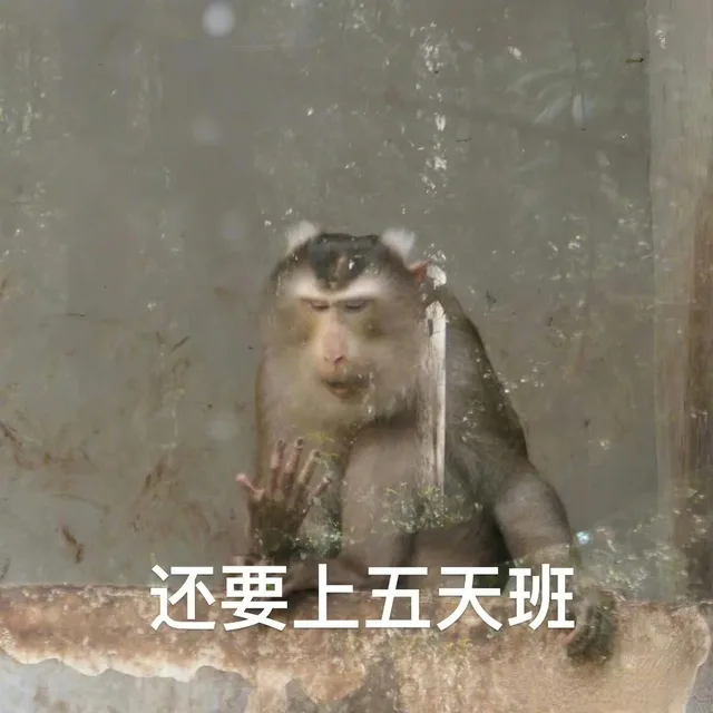 还要上五天班（还要上五天班）