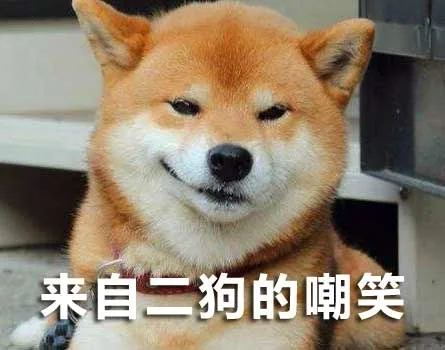 来自二狗的嘲笑（来自二狗的嘲笑）