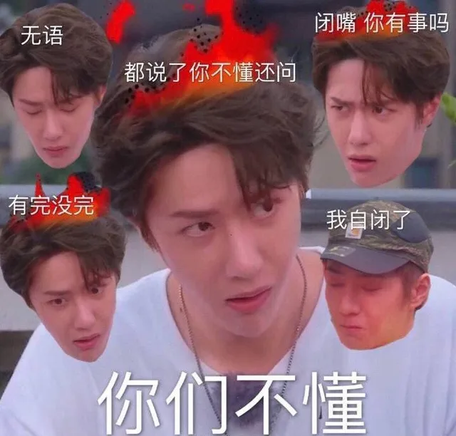 你们不懂（王一博表情包）