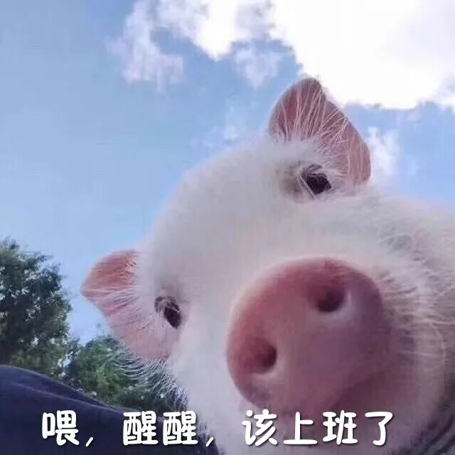 喂，醒醒，该上班了（喂，醒醒，该上班了）