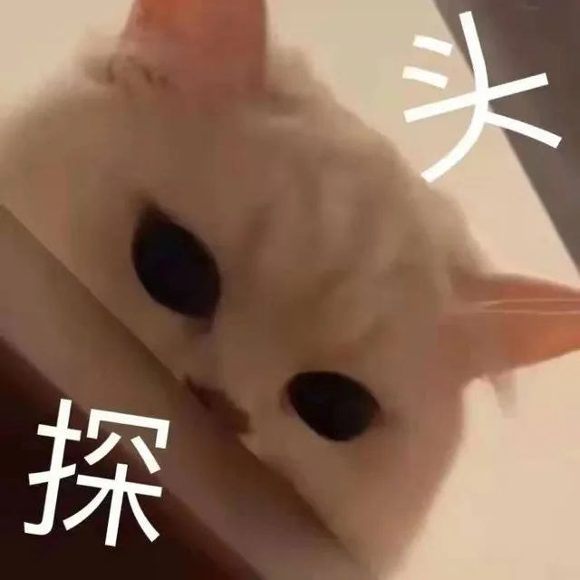 头探（头探）