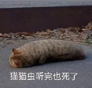 猫猫虫听完也死了（猫猫虫听完也死了）