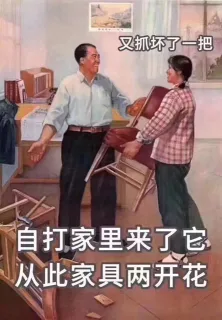自打家里来了它 从此家具两开花