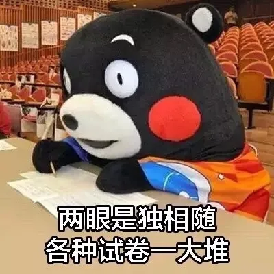 两眼是独相随，各种试卷一大推（两眼是独相随，各种试卷一大推）
