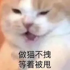 做猫不拽等着被甩（做猫不拽等着被甩）