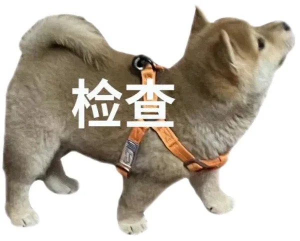 检查