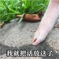 我就把话放这了（猪蹄）（我就把话放这了（猪蹄））