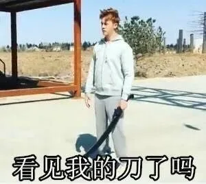 看见我的刀了吗（看见我的刀了吗）