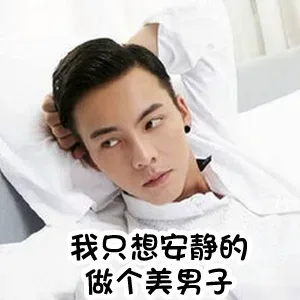 我只想安静的做个美男子