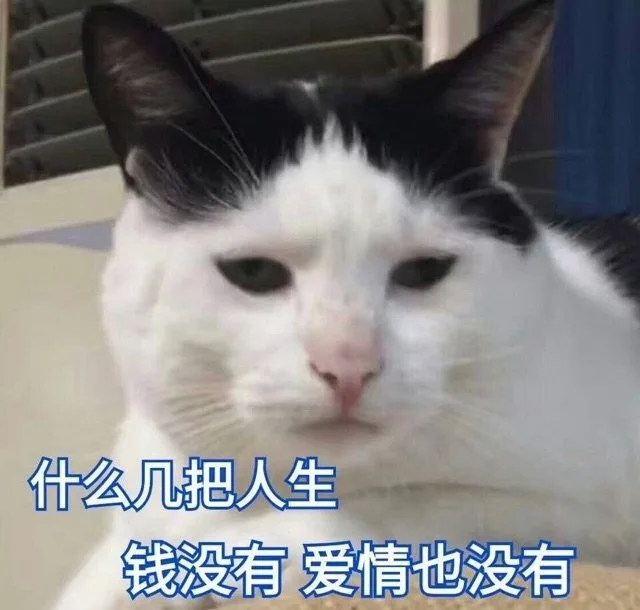 什么几把人生钱没有爱情也没有（什么几把人生钱没有爱情也没有）