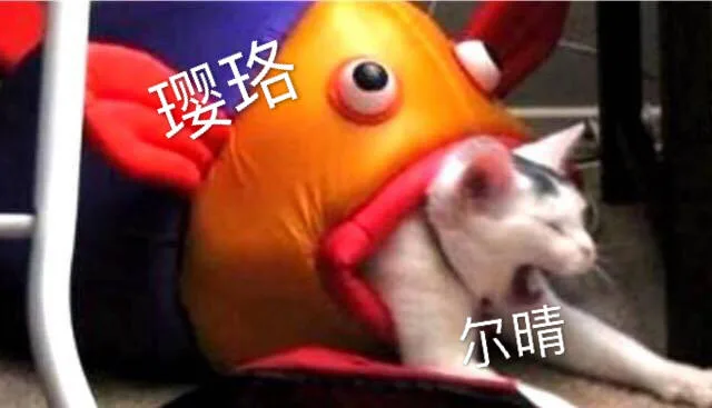 尔晴与璎珞（尔晴与璎珞）