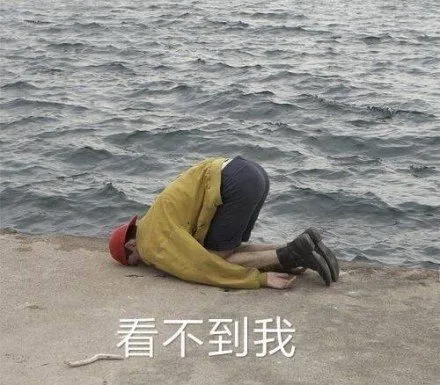 看不到我（看不到我）