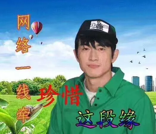 林更新：我恨！ _林更新_我恨你_明星表情表情包