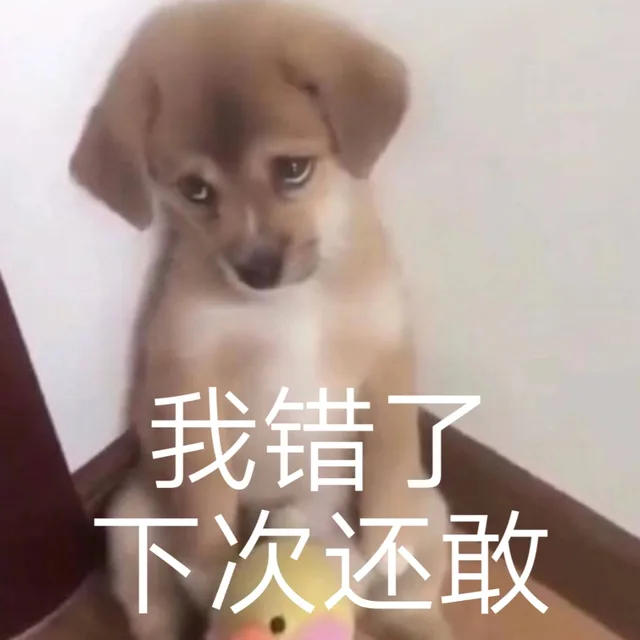 我错了下次还敢（我错了下次还敢）