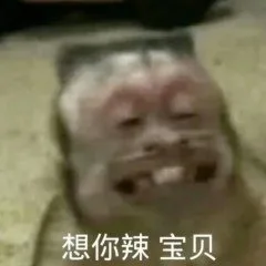 想你辣宝贝(吗喽表情包)（想你辣宝贝(吗喽表情包)）