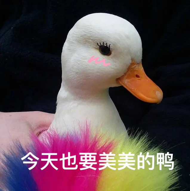 今天也要美美的鸭