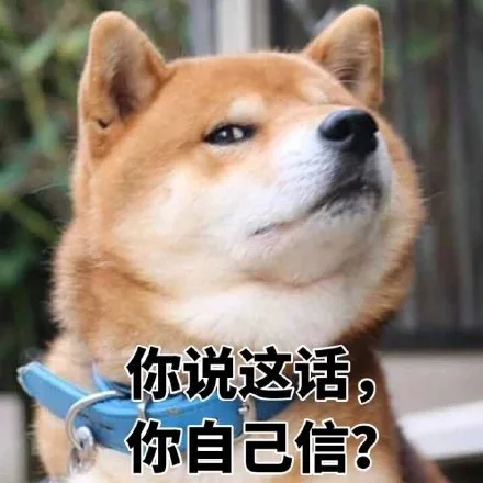 你说这话,你自己信?（你说这话,你自己信?）