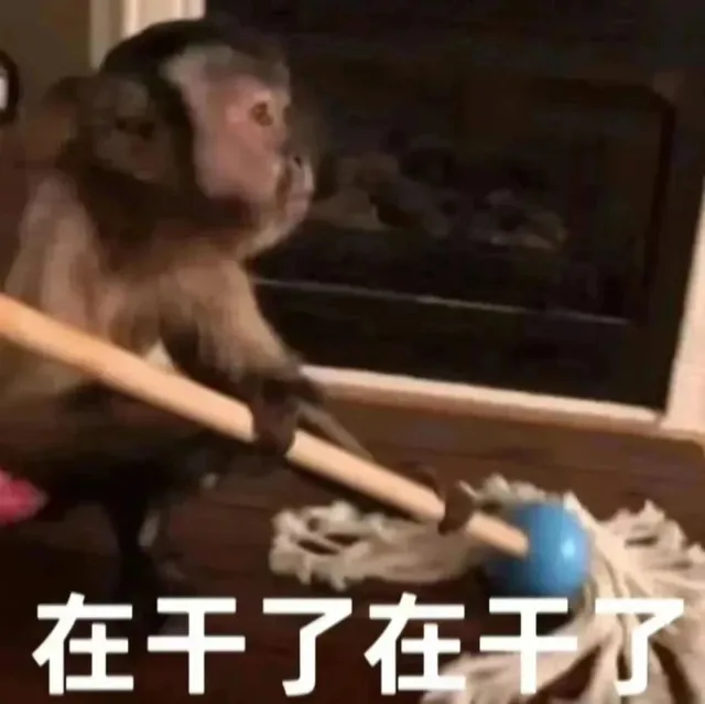 在干了在干尔(吗喽表情包)（在干了在干尔(吗喽表情包)）