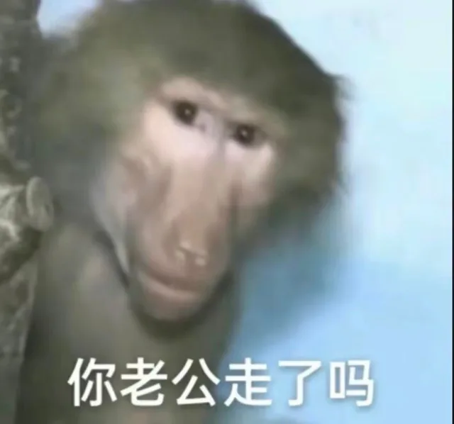 你老公走了吗（你老公走了吗）