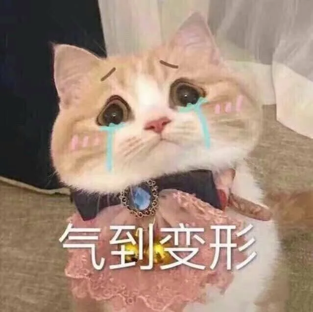 气到变形（喵咪）（气到变形（喵咪））